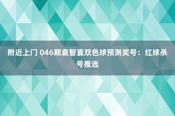 附近上门 046期袁智囊双色球预测奖号：红球杀号推选