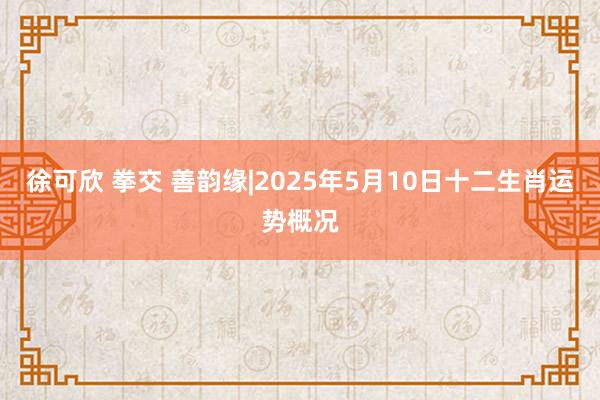 徐可欣 拳交 善韵缘|2025年5月10日十二生肖运势概况