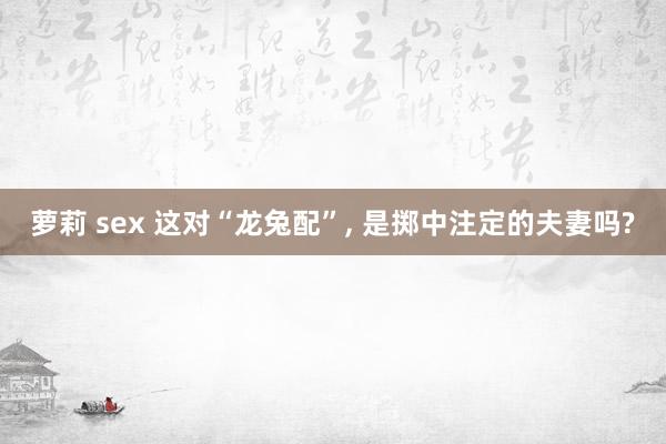 萝莉 sex 这对“龙兔配”， 是掷中注定的夫妻吗?
